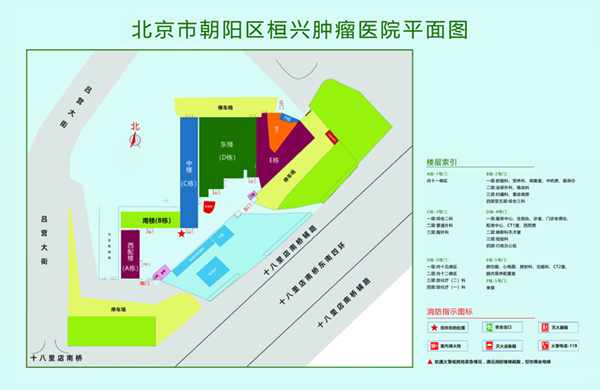 骚逼喷水好刺激免费观看啊啊啊好爽北京市朝阳区桓兴肿瘤医院平面图